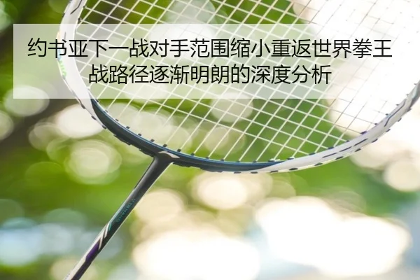 约书亚下一战对手范围缩小重返世界拳王战路径逐渐明朗的深度分析
