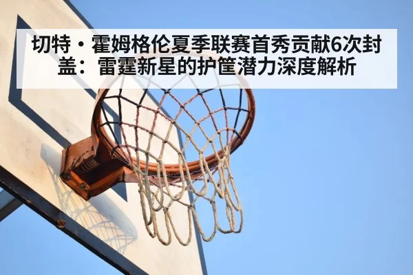 basketball rim protection
