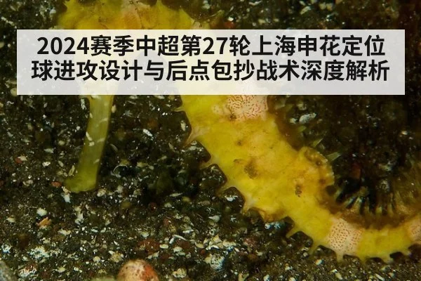 2024赛季中超第27轮上海申花定位球进攻设计与后点包抄战术深度解析